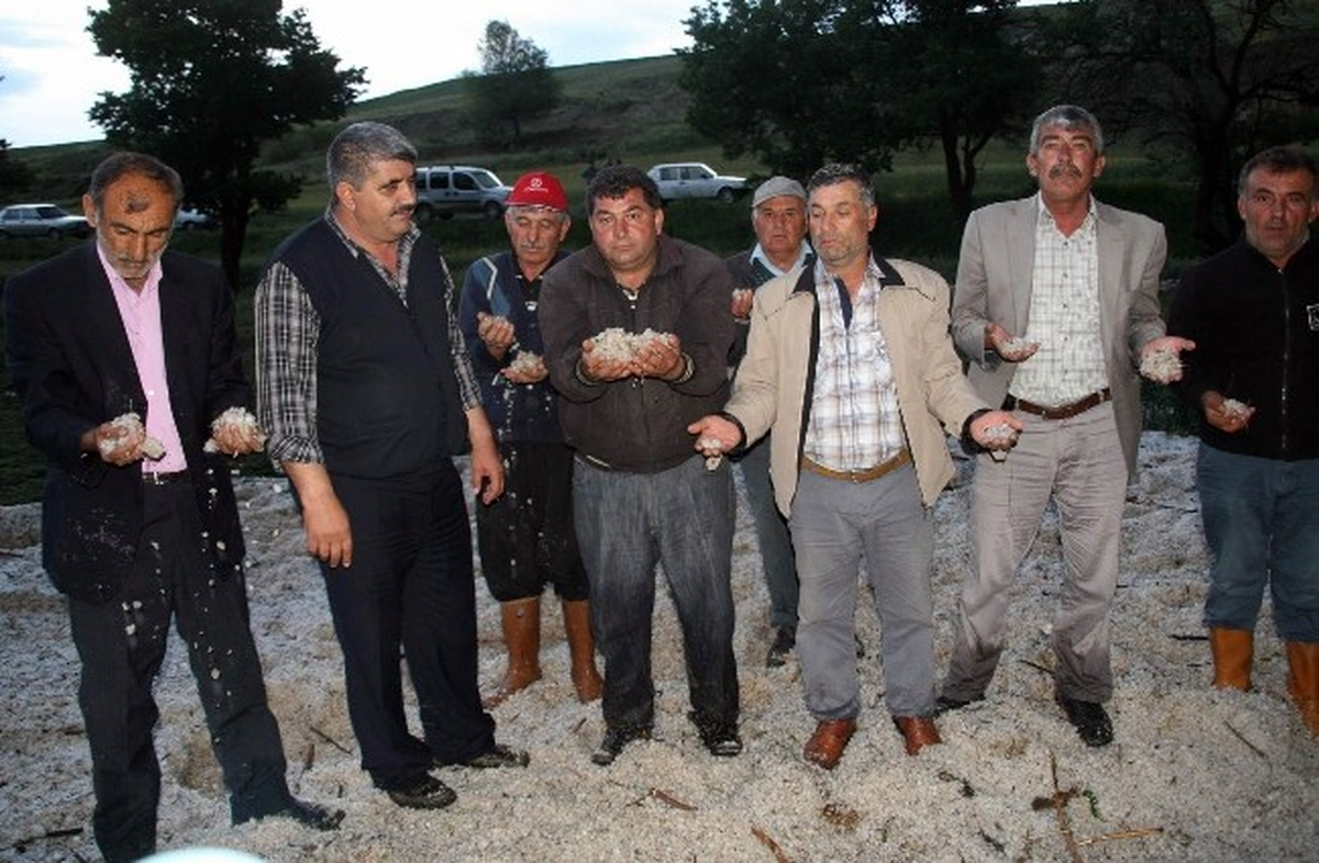 Yozgat\'ta Dolu 80 Bin Dekar Ekili Alana Zarar Verdi