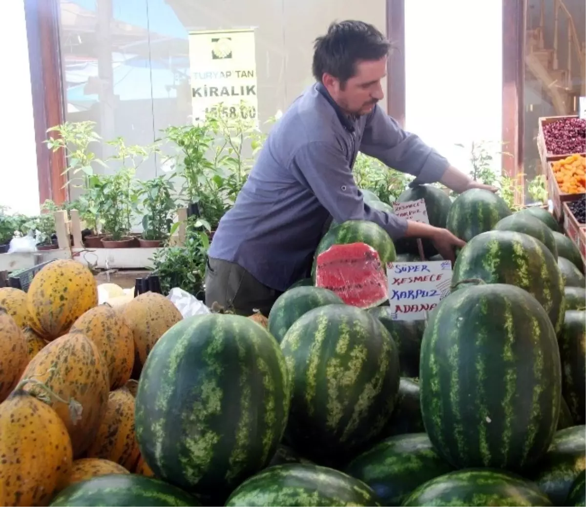 Kabak Aşısı Karpuzun Hem Fiyatını, Hem Kalitesini Düşürdü