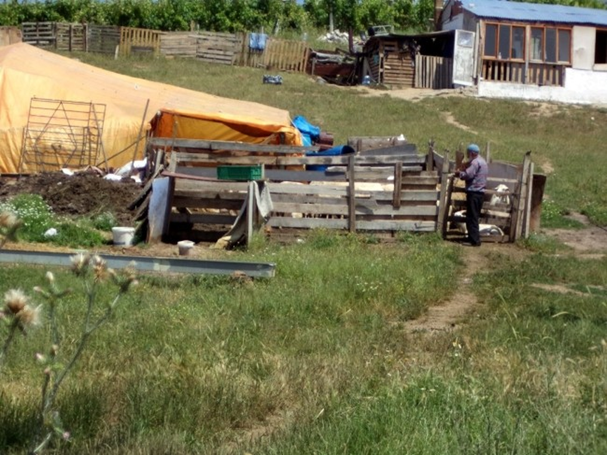 Mudanya\'da Mahalle Olan Köylerde Ağıllar Kaldırılıyor