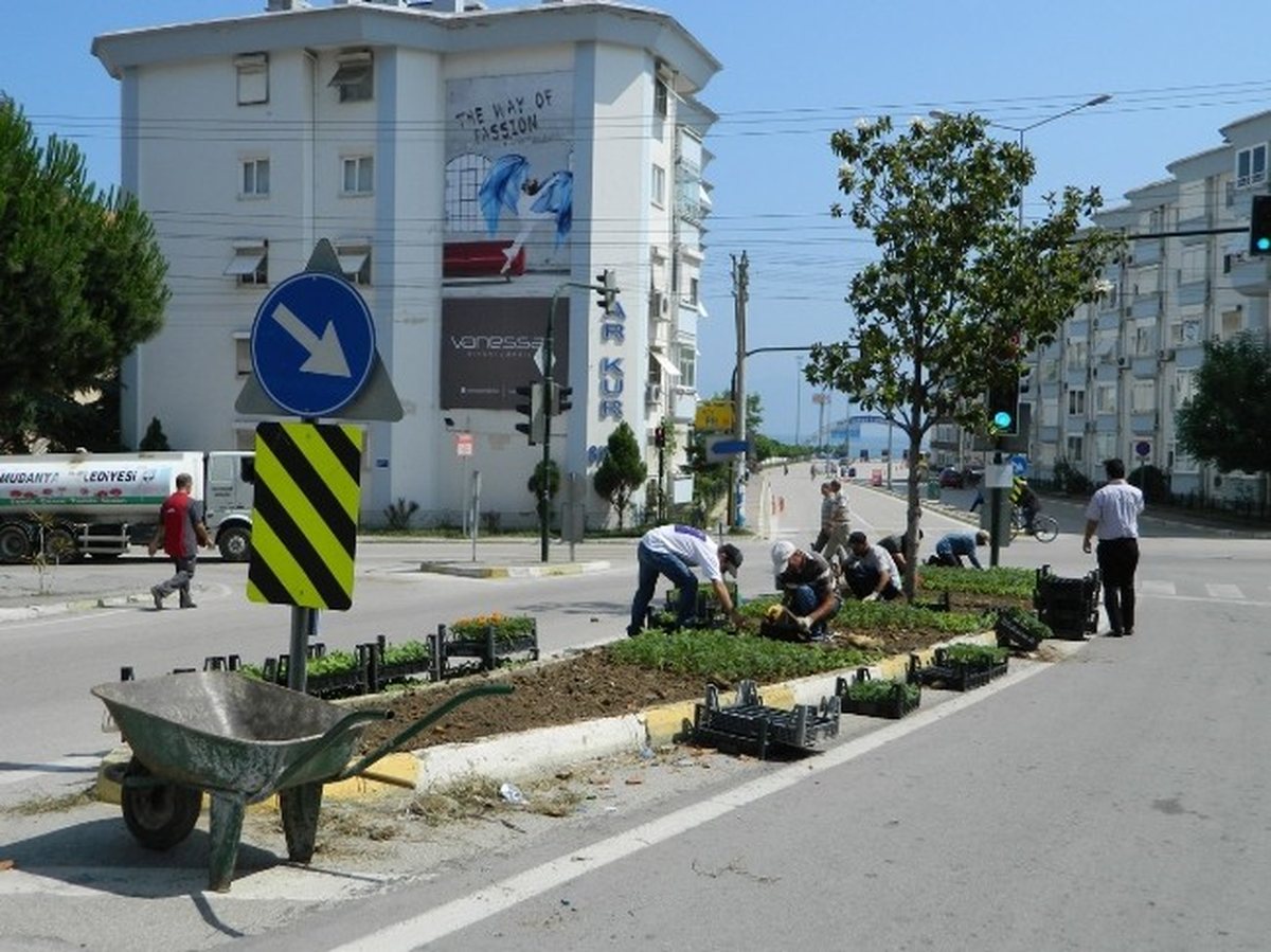 Mudanya Çiçek Açıyor