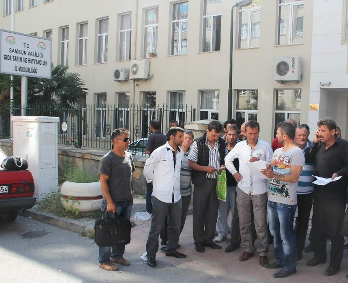Salyangoz Avcılarından Para Cezası Tepkisi