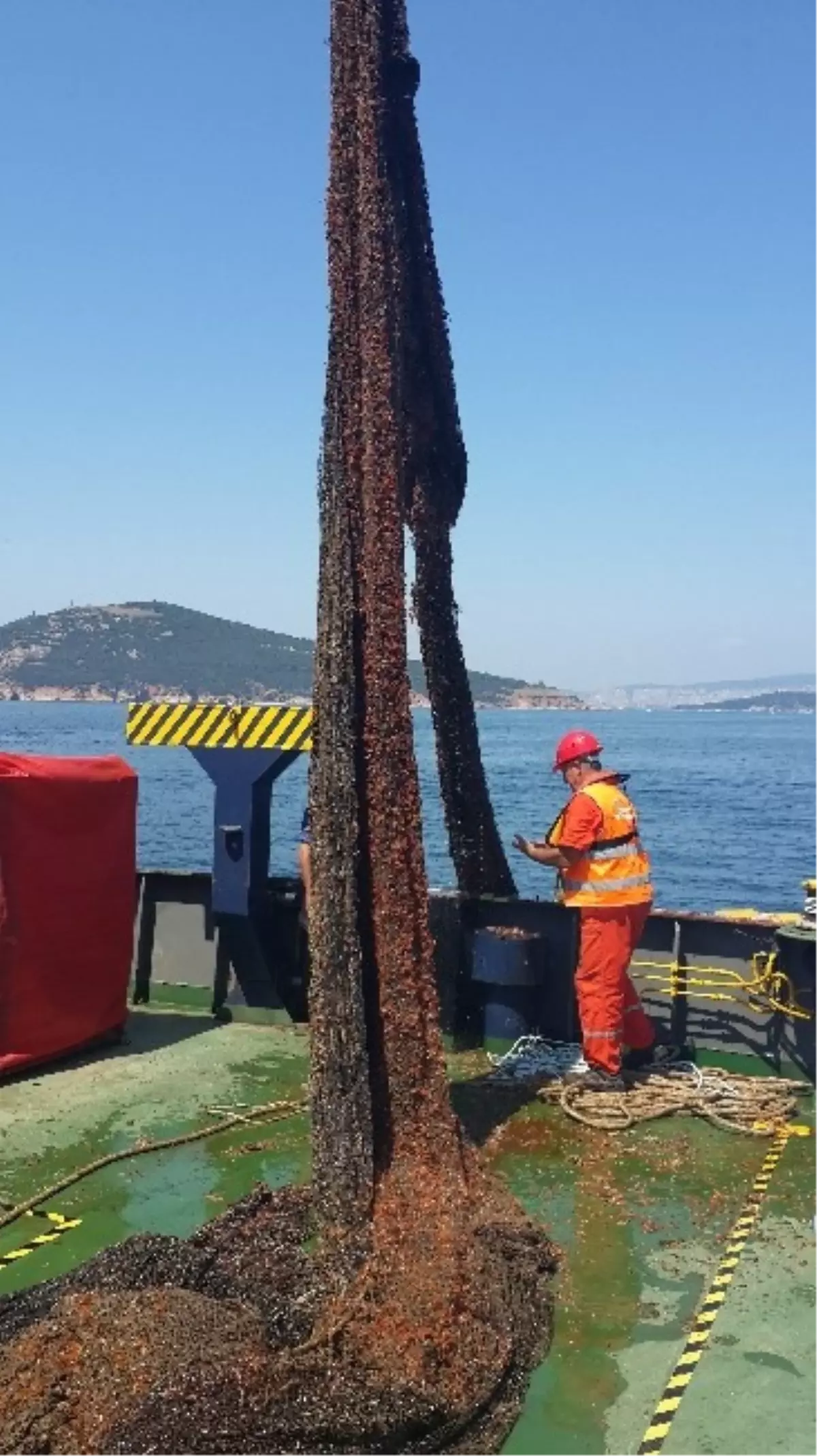 Denizden 240 Bin Metrekarelik Terk Edilmiş Ağ Çıkartıldı