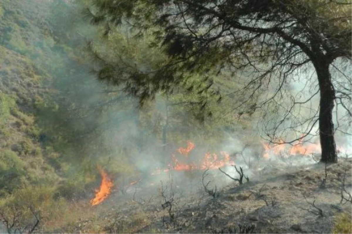 Hatay\'da Orman Yangınlarına Karşı Hazırlıklar Tamamlandı