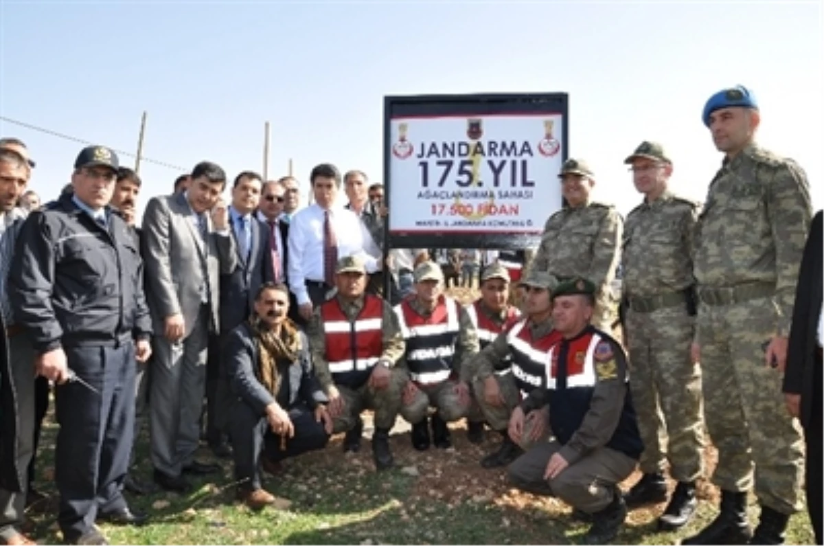 Mardin\'de Jandarma Teşkilatının 175. Yıl Dönümü Kutlandı