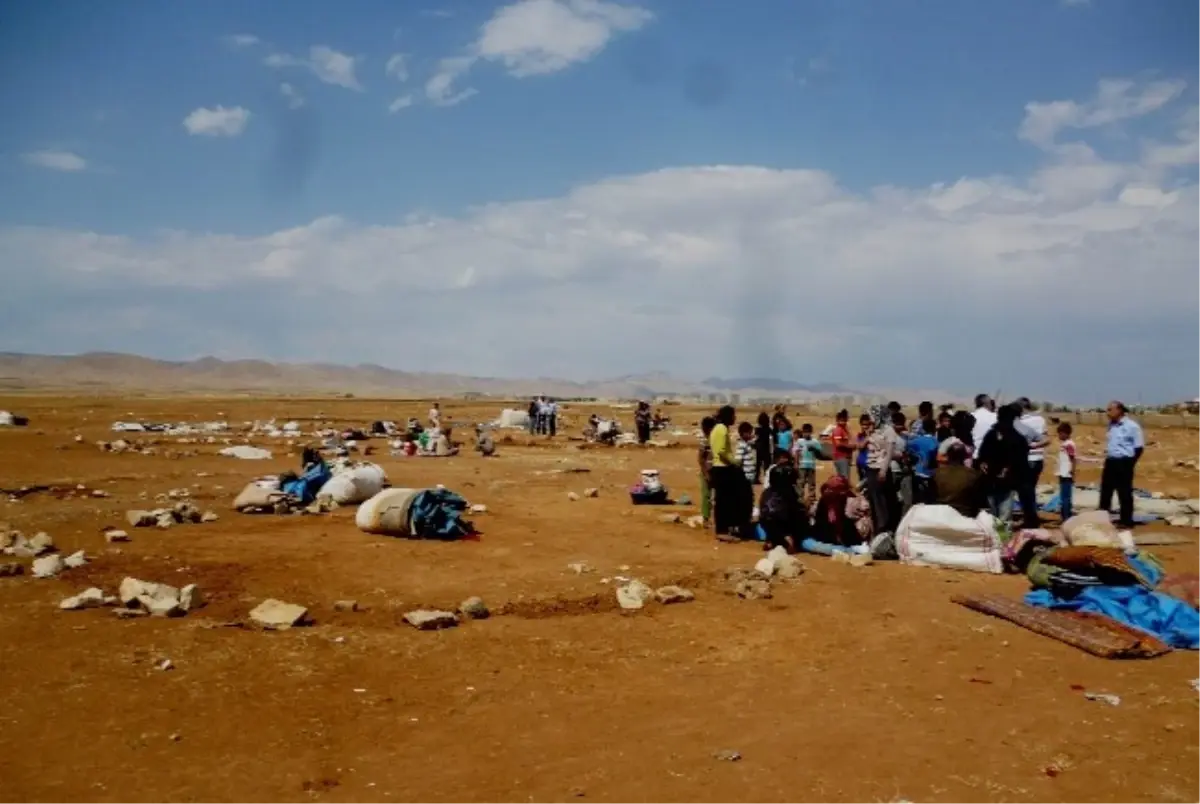 Kızıltepe\'de Zabıtadan Dilenci Operasyonu