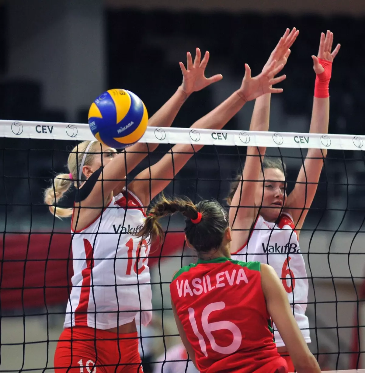 Voleybol: 2014 Cev Bayanlar Avrupa Ligi