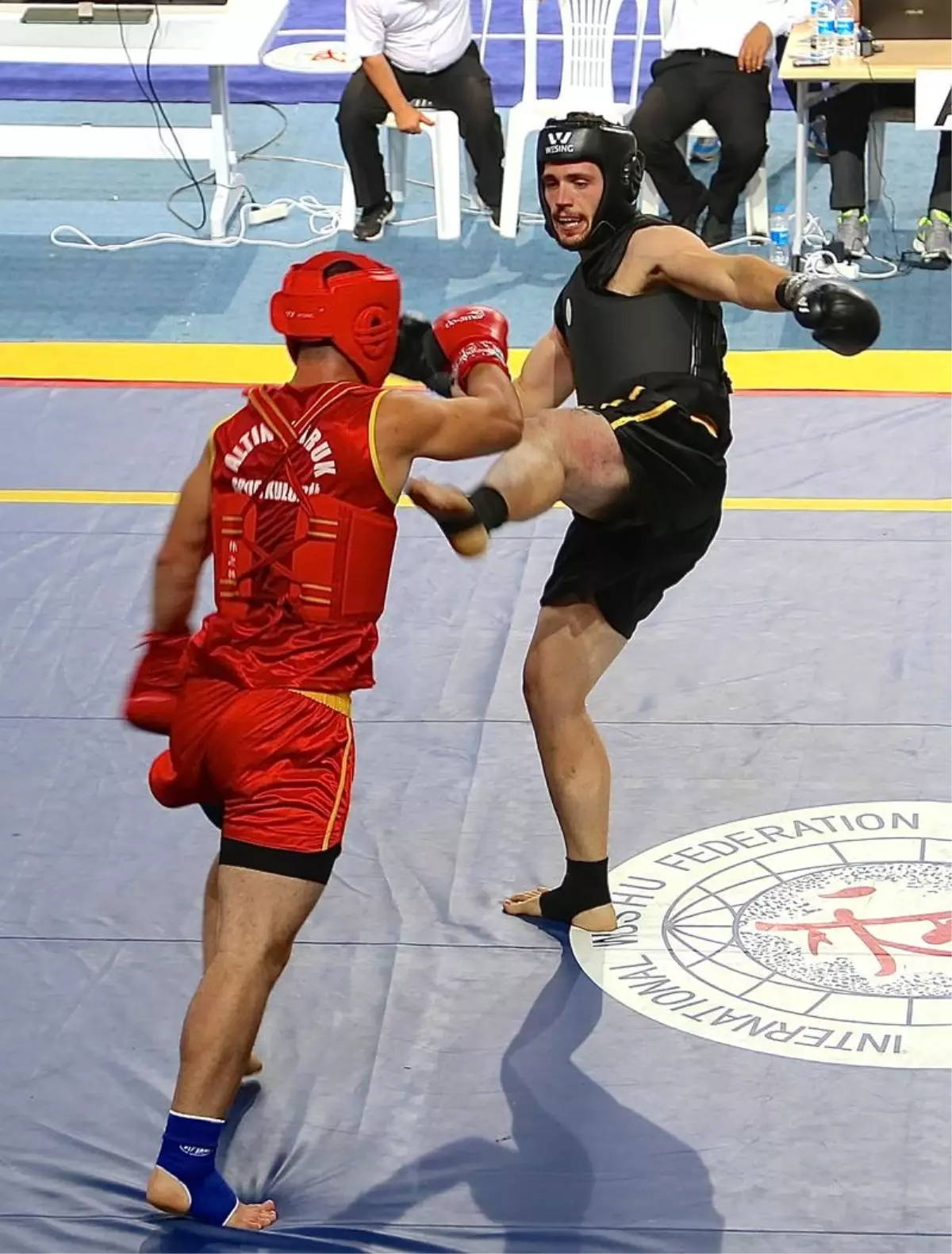 Açık Balkan Wushu Şampiyonası