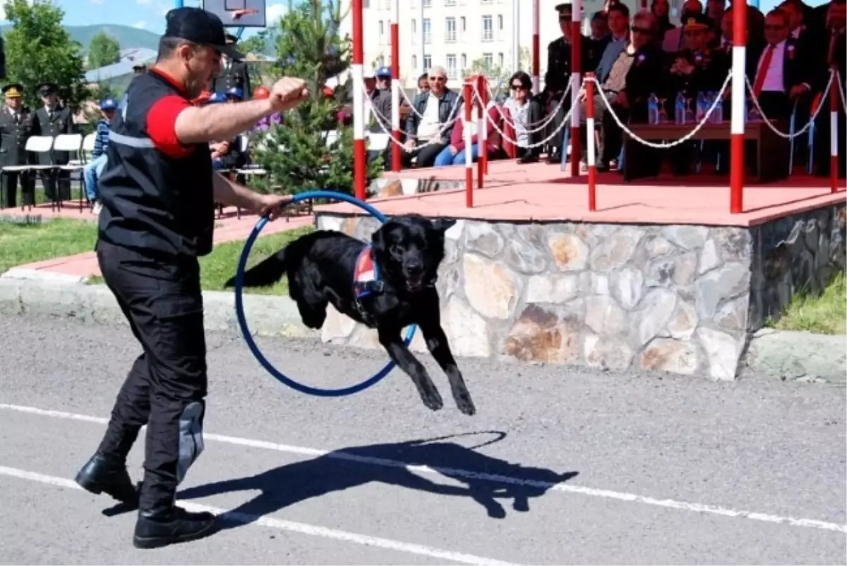 Jandarma Teşkilatı\'nın 175\'nci Kuruluş Yıldönümü Kutlandı