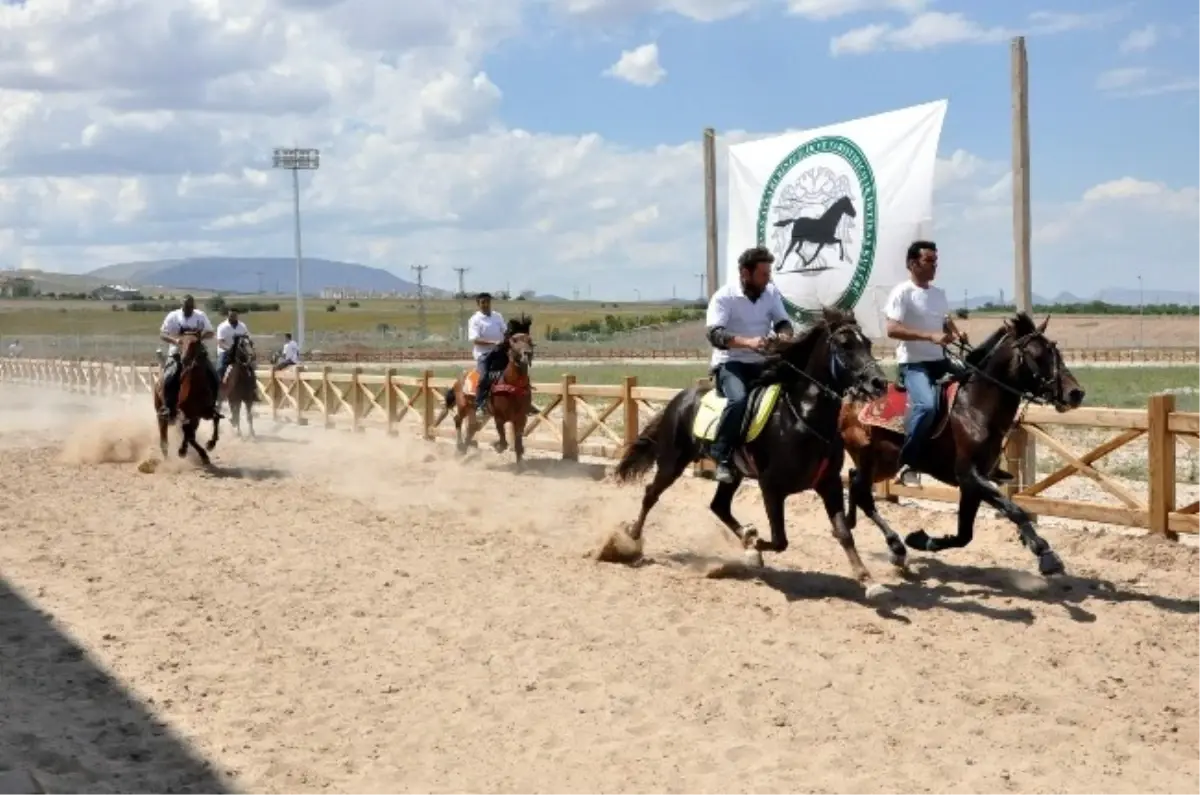 Konya\'da Rahvan Atları Bahar Kupası İçin Yarıştı