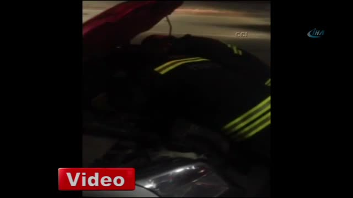 Polis Arabası 12 Saat Yavru Kediyi Bekledi