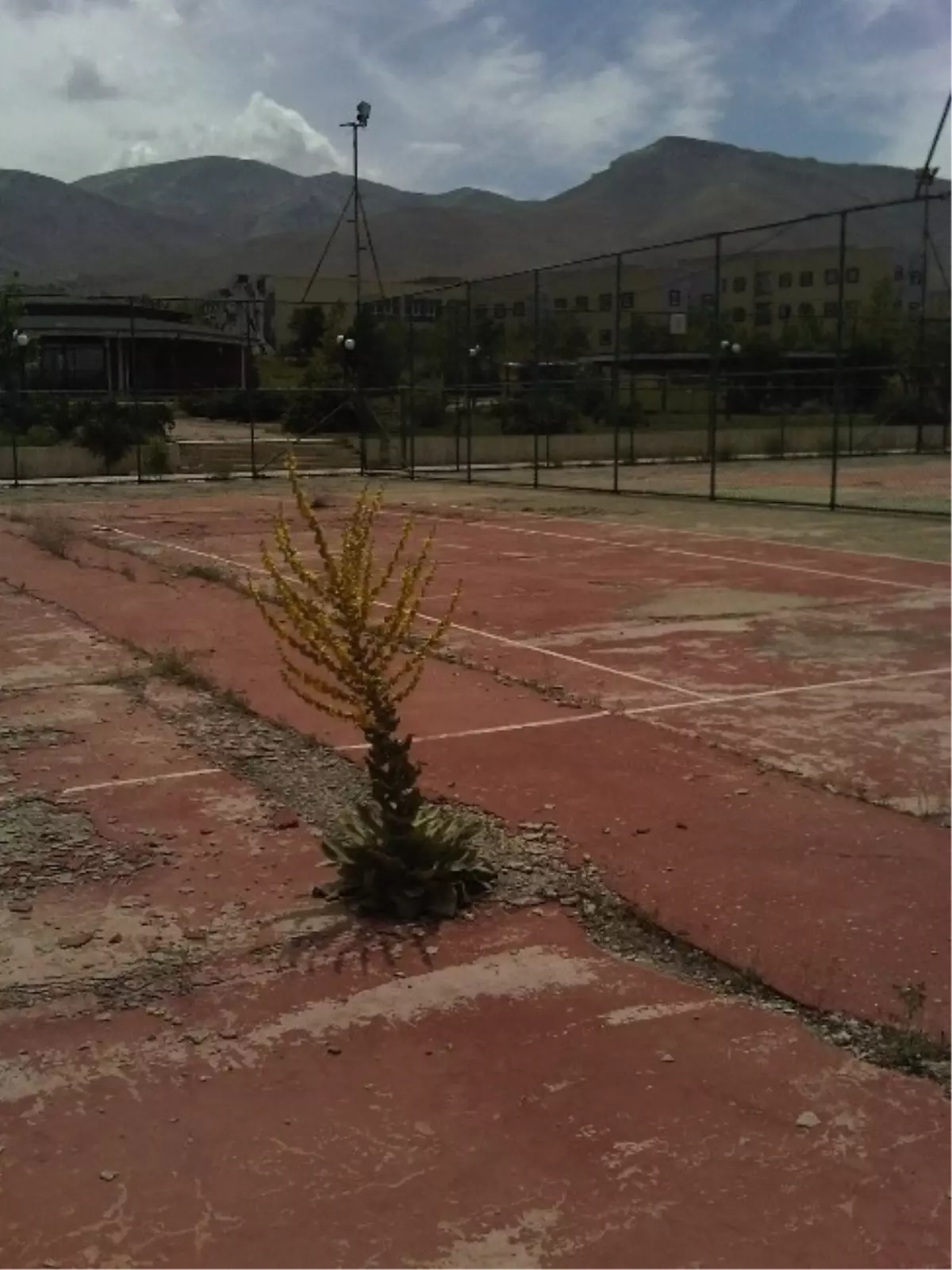 Üniversitenin Tenis Kortları Harabeye Döndü