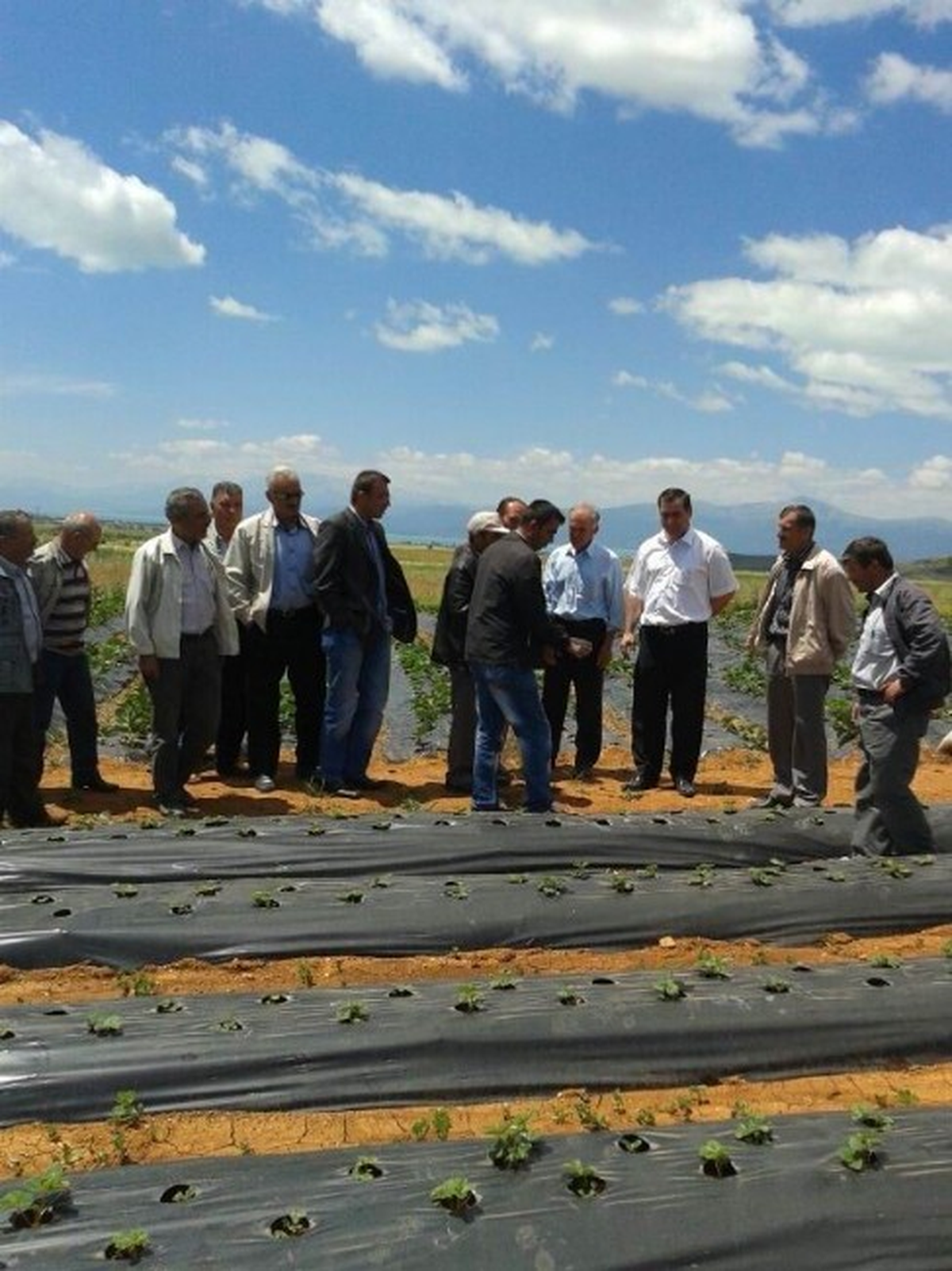 Beyşehirli Çiftçilere Çilek Üretimi Tavsiyesi
