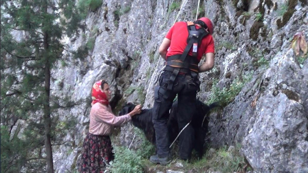 Isparta\'da Keçi Kurtarma Operasyonu