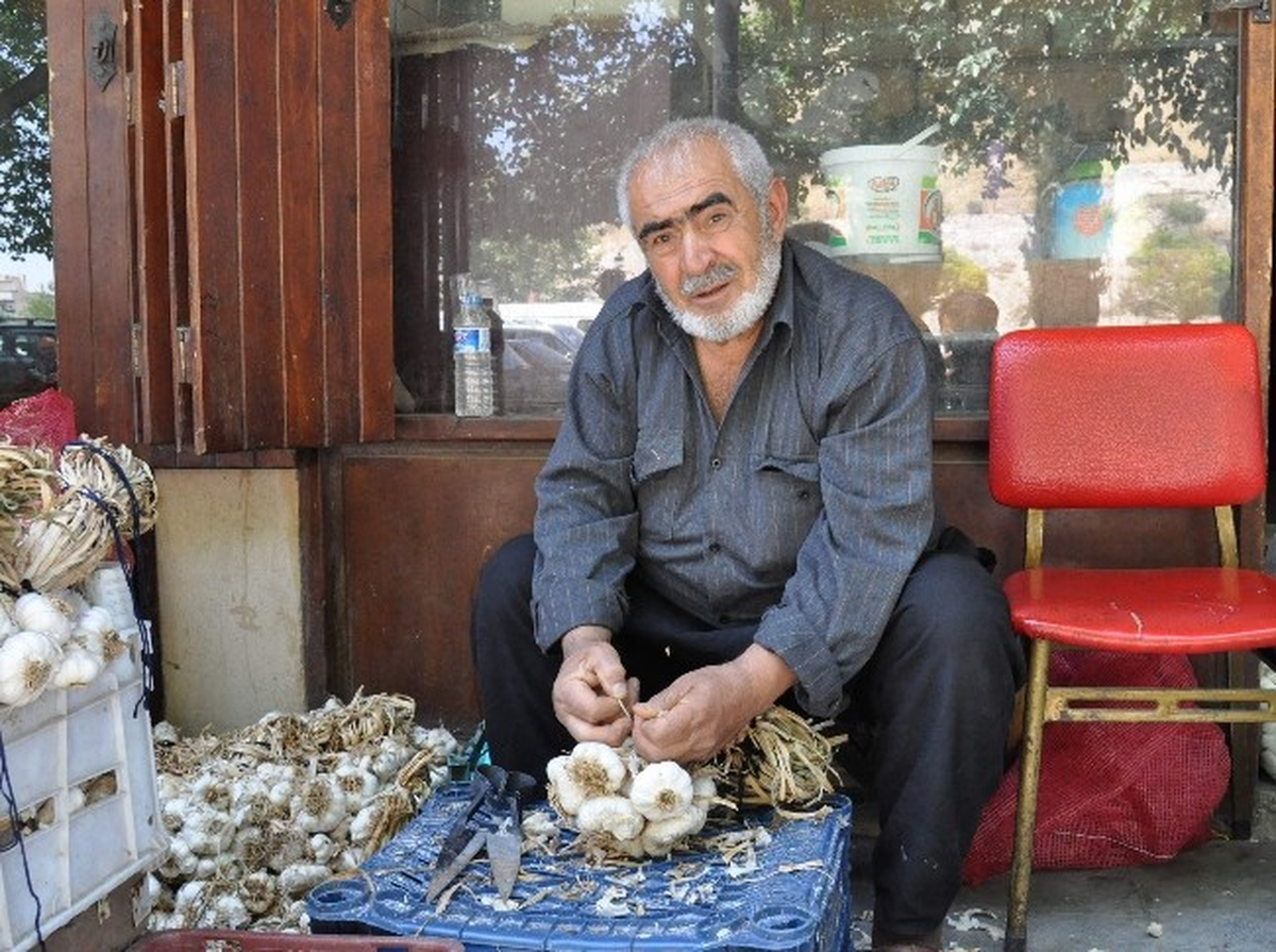Sarımsak Sezonu Açıldı