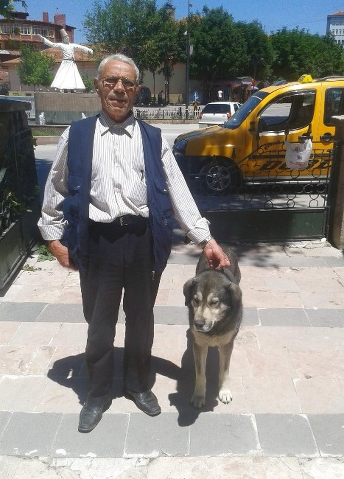 Van Kedisi Gibi Köpek