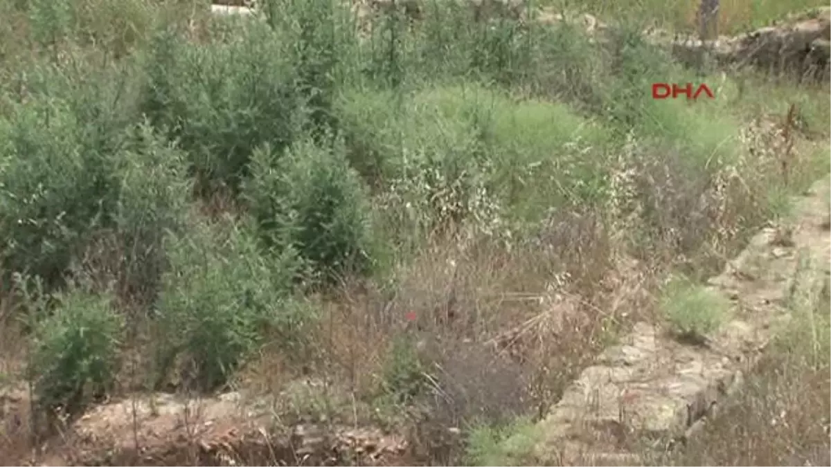 Antik Kentin Kalıntılarının Üstü Kapatılıyor İddiası