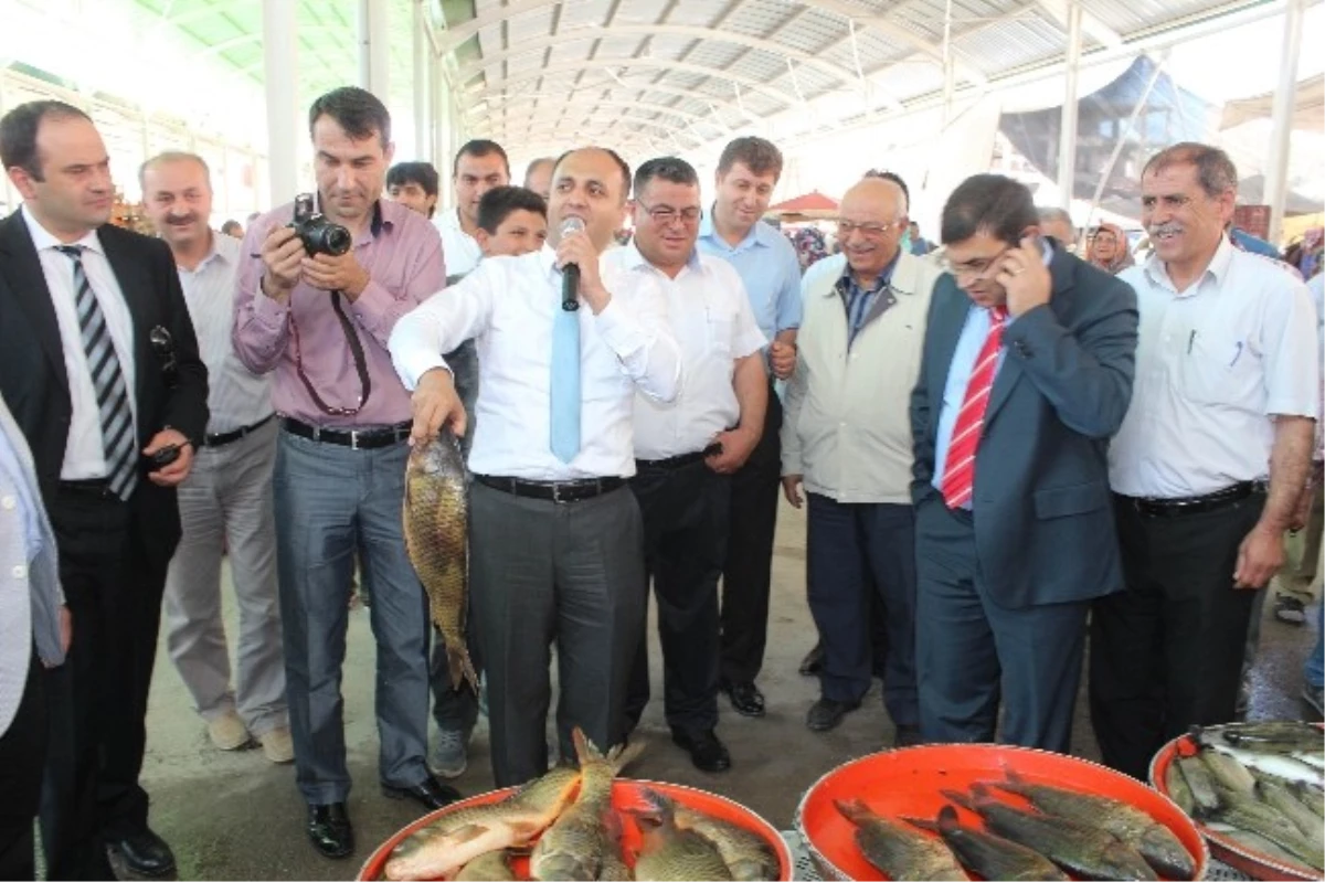 Belediye Başkanı Açık Artırmada Balık Sattı