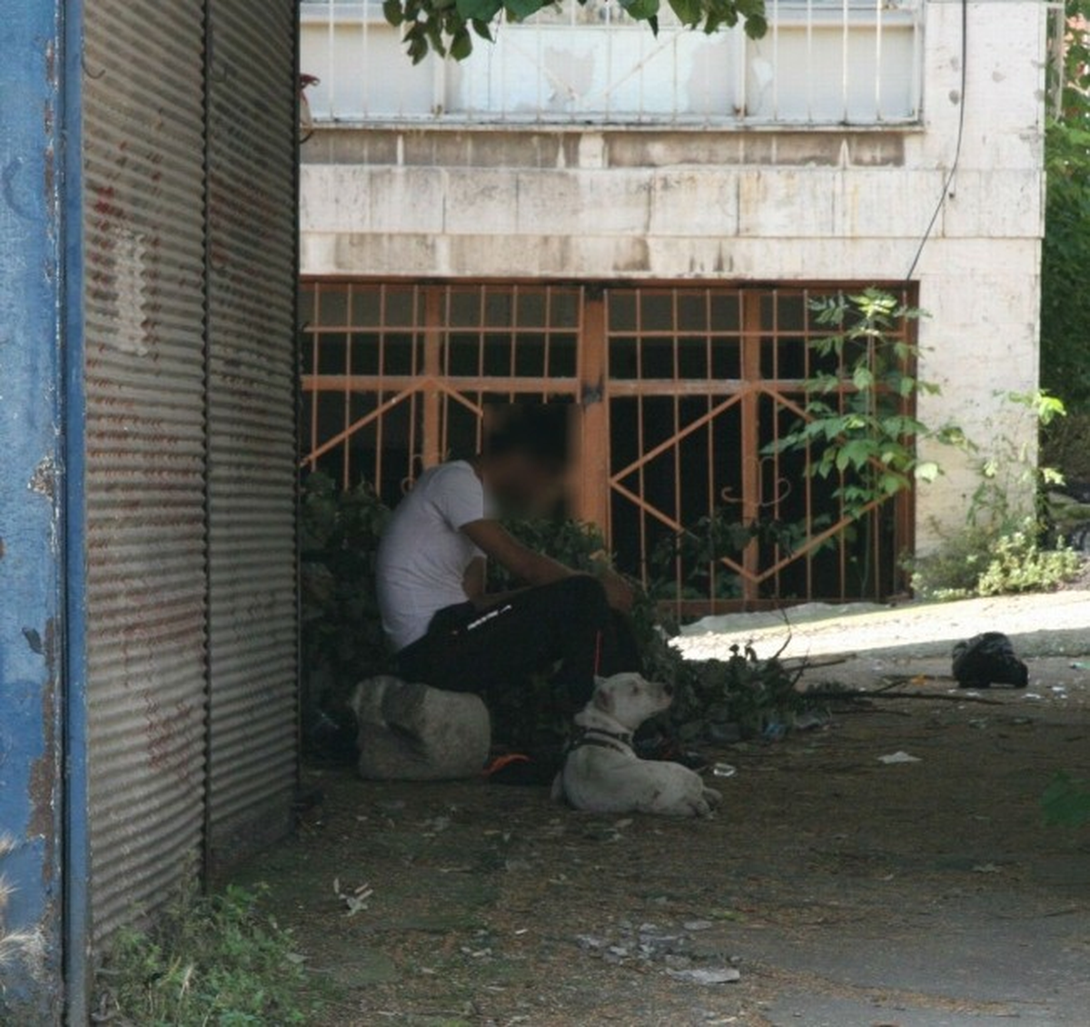 Bonzai Yüzünden Fenalaşan Genç, Tedaviyi Kabul Etmedi