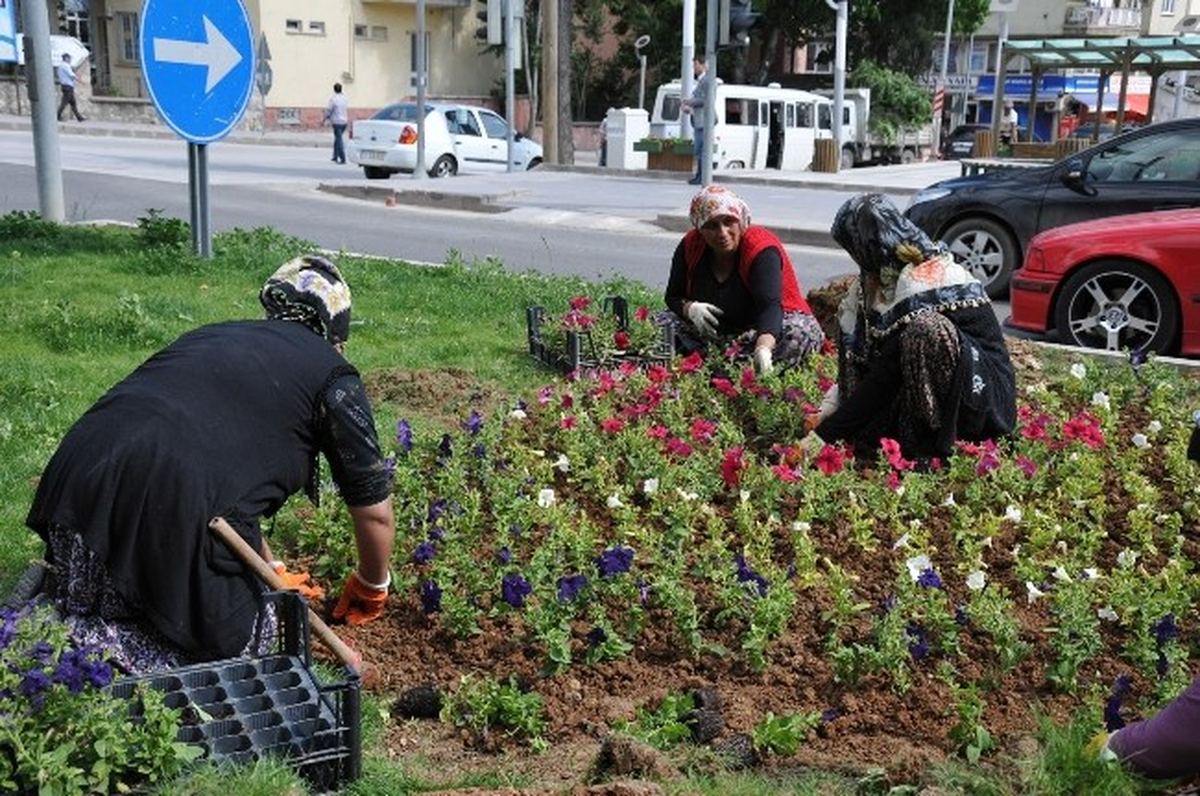 Bozüyük\'te Park ve Bahçelerde Bakım Çalışmaları Sürüyor