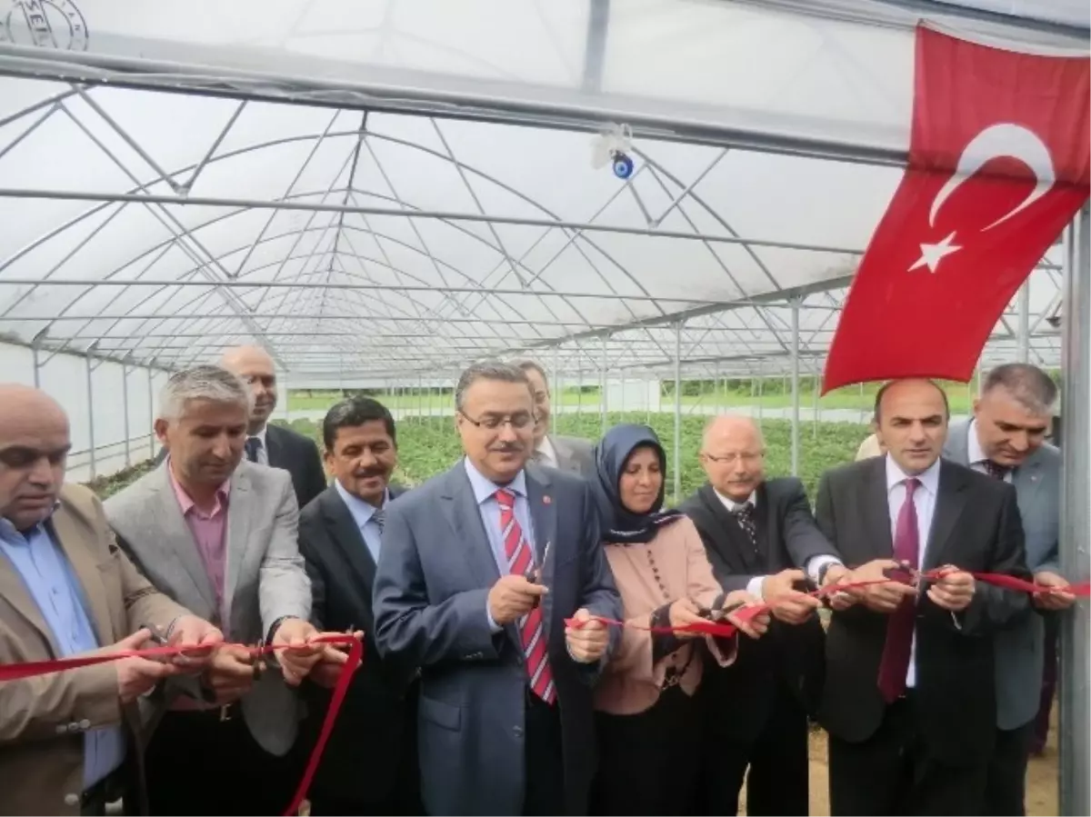 Düzce\'de Tarımda Mayıs Ayı Dolu Dolu Geçti