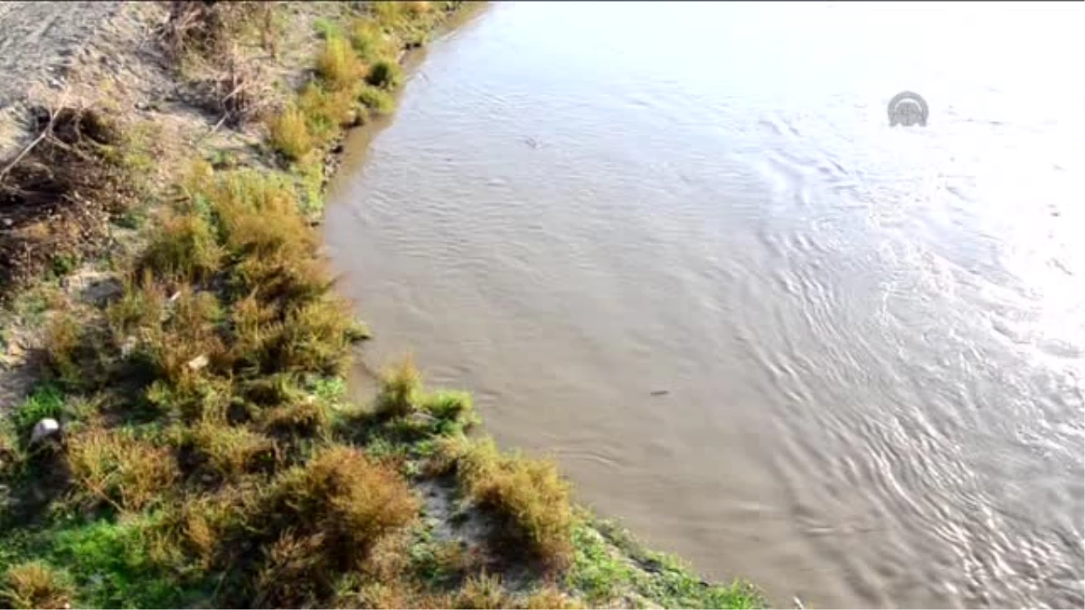 Gediz Nehri\'ndeki Balıklar Oksijensiz Kaldı