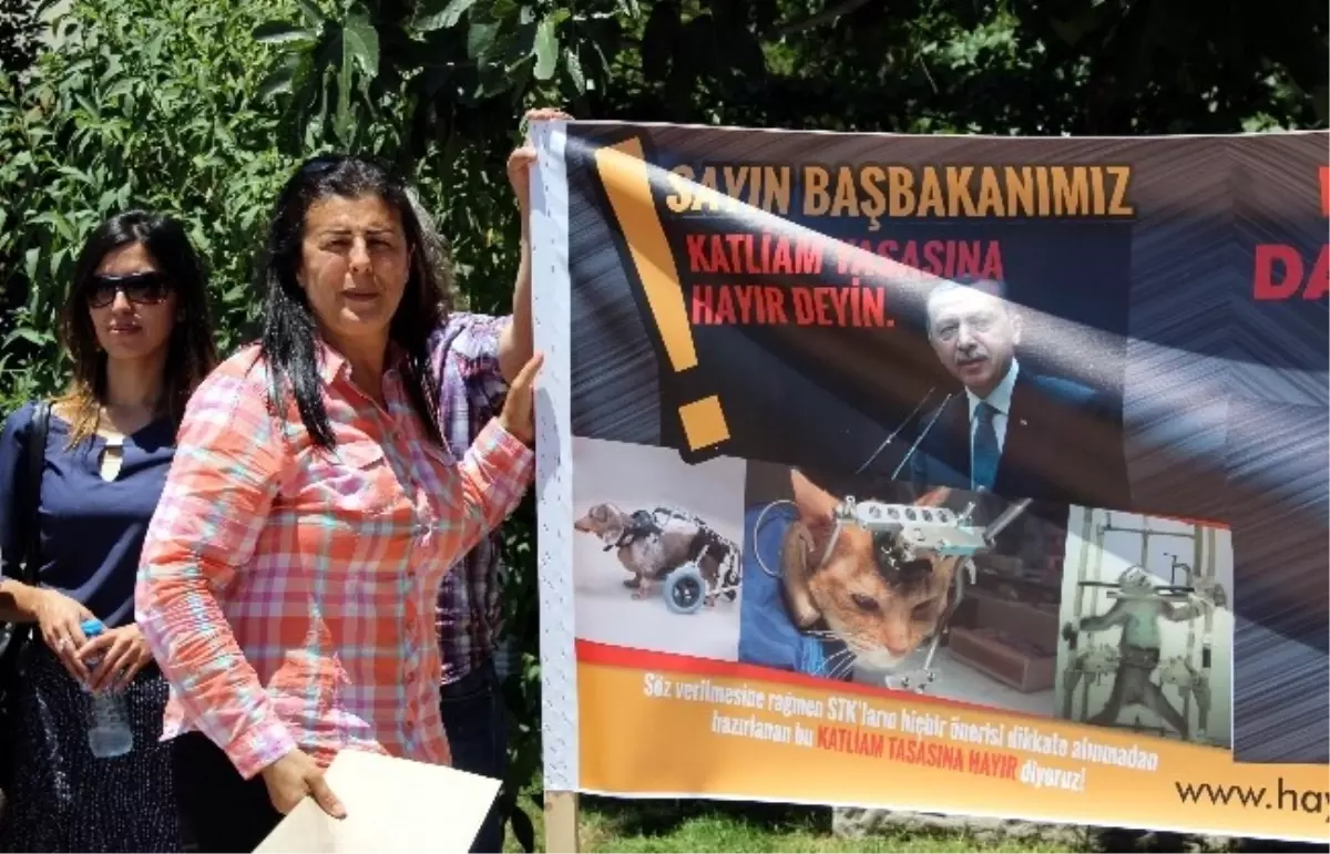 Hayvanseverlerden Başbakan\'a Mektup