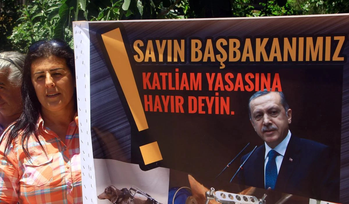 Hayvanseverlerden Başbakan Erdoğan\'a "İmdat Mektubu"
