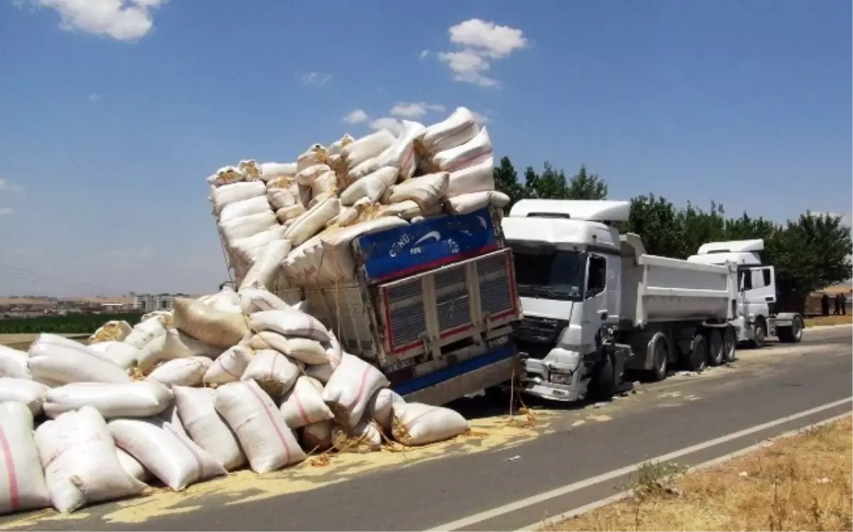 İki Tır Çarpıştı, Yol Samanla Kaplandı