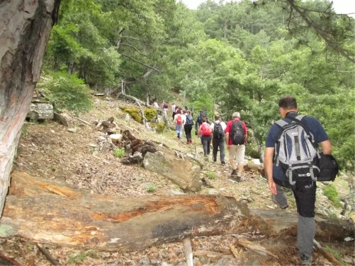 Kazdağları Doğaseverlerin Gözdesi Oldu