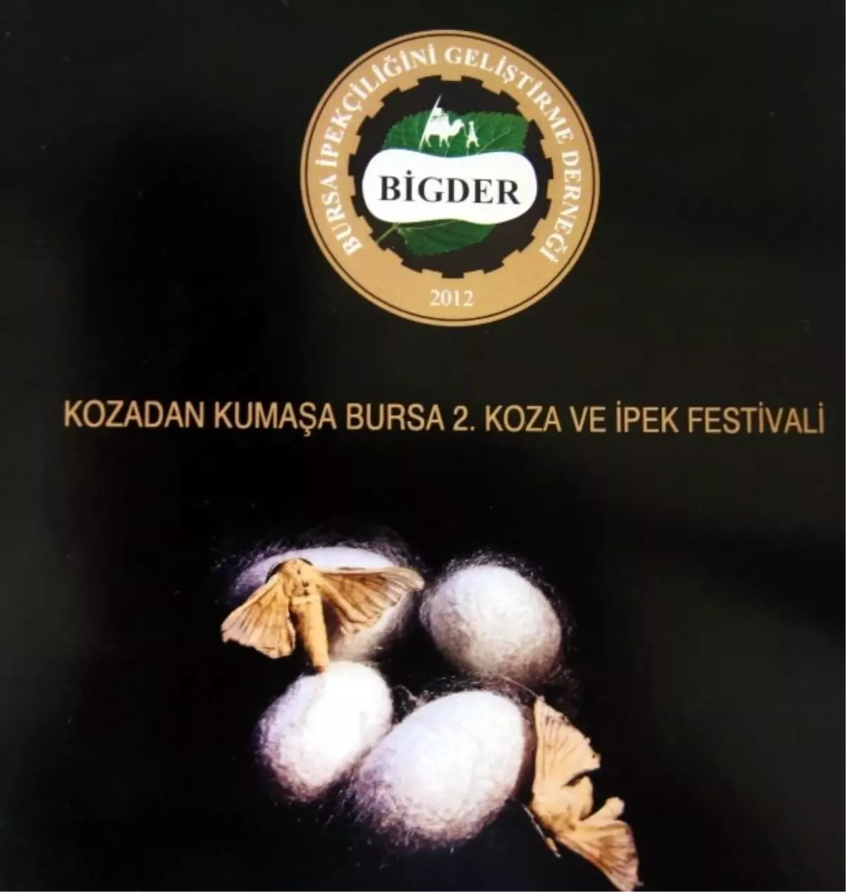 Koza ve İpek Festivali Başlıyor