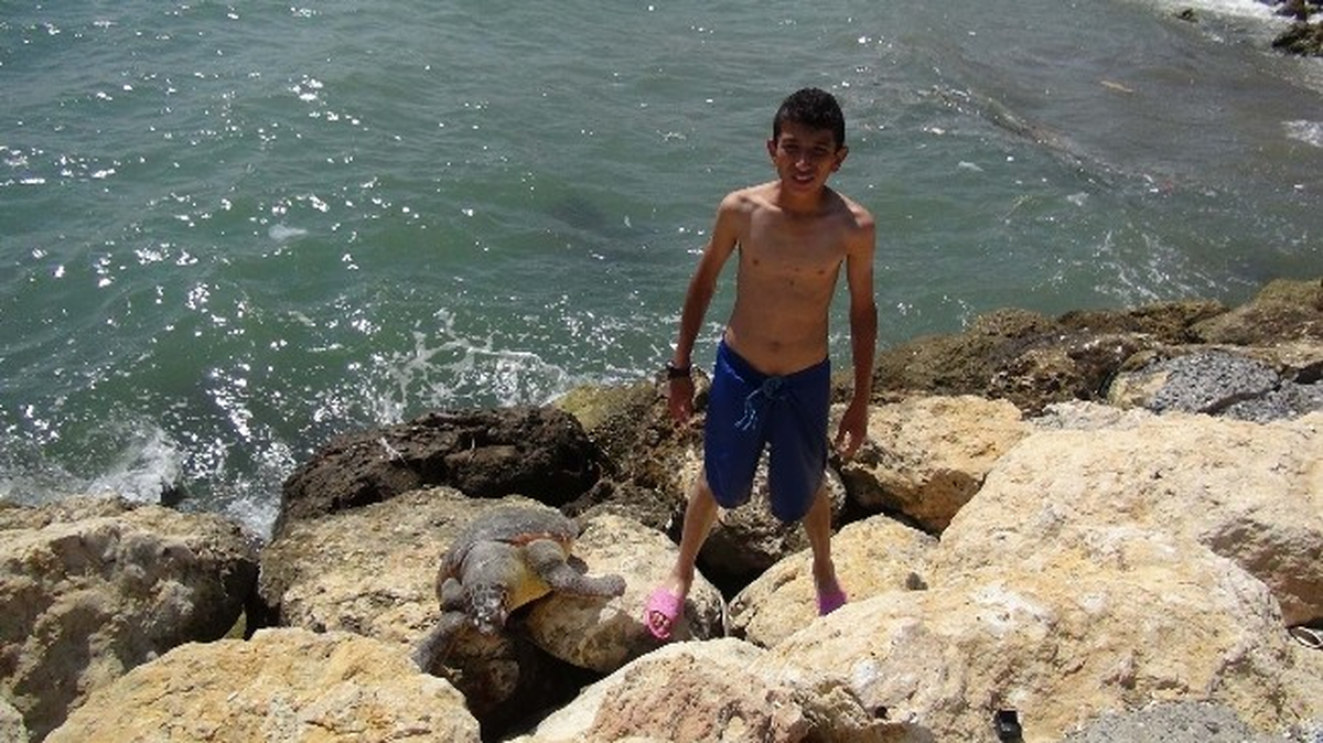 Mersin\'de Caretta Caretta Ölüsü Sahile Vurdu