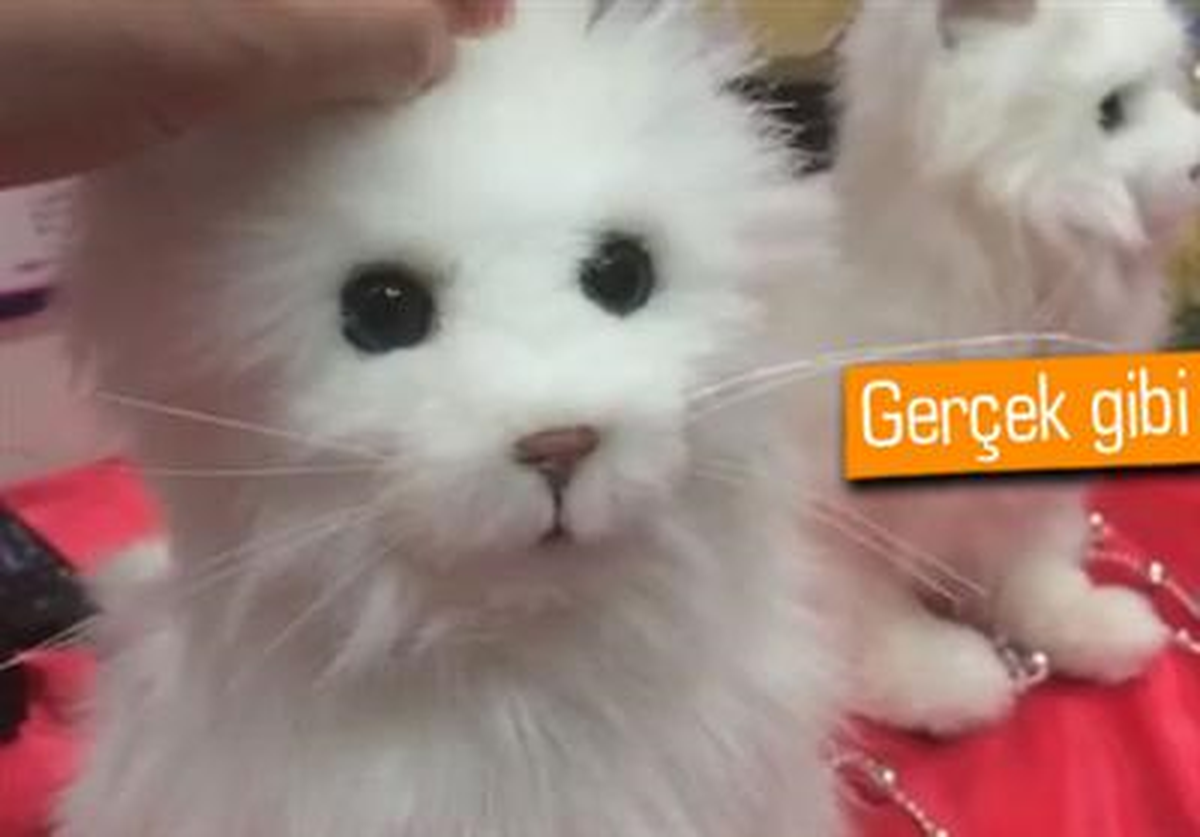 Robot Kedi ve Köpekler Geliyor