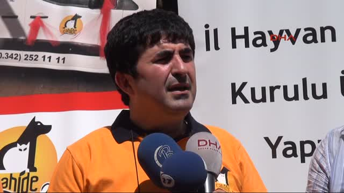 Sokak Hayvanları Yasayla Korunmalı\'