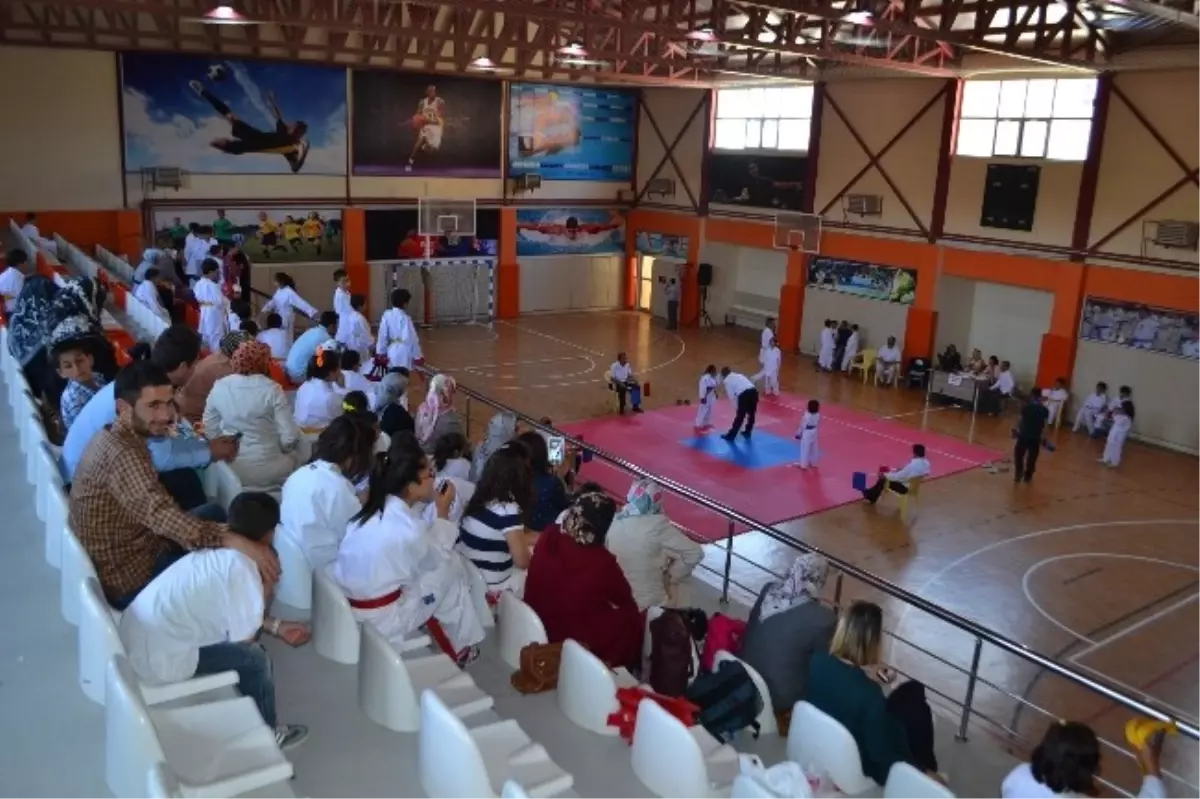 Van\'da Karate İl Seçmeleri Sona Erdi