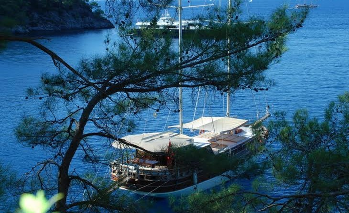 % 50 İndirimli Maviye Yolculuk