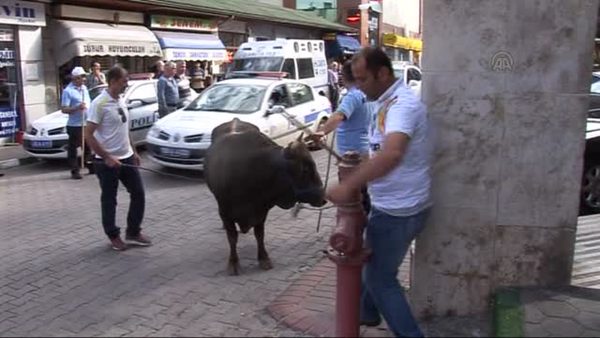 Artvin sokakları İspanya\'yı aratmadı