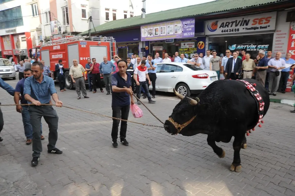 Artvin Sokakları İspanya\'yı Aratmadı