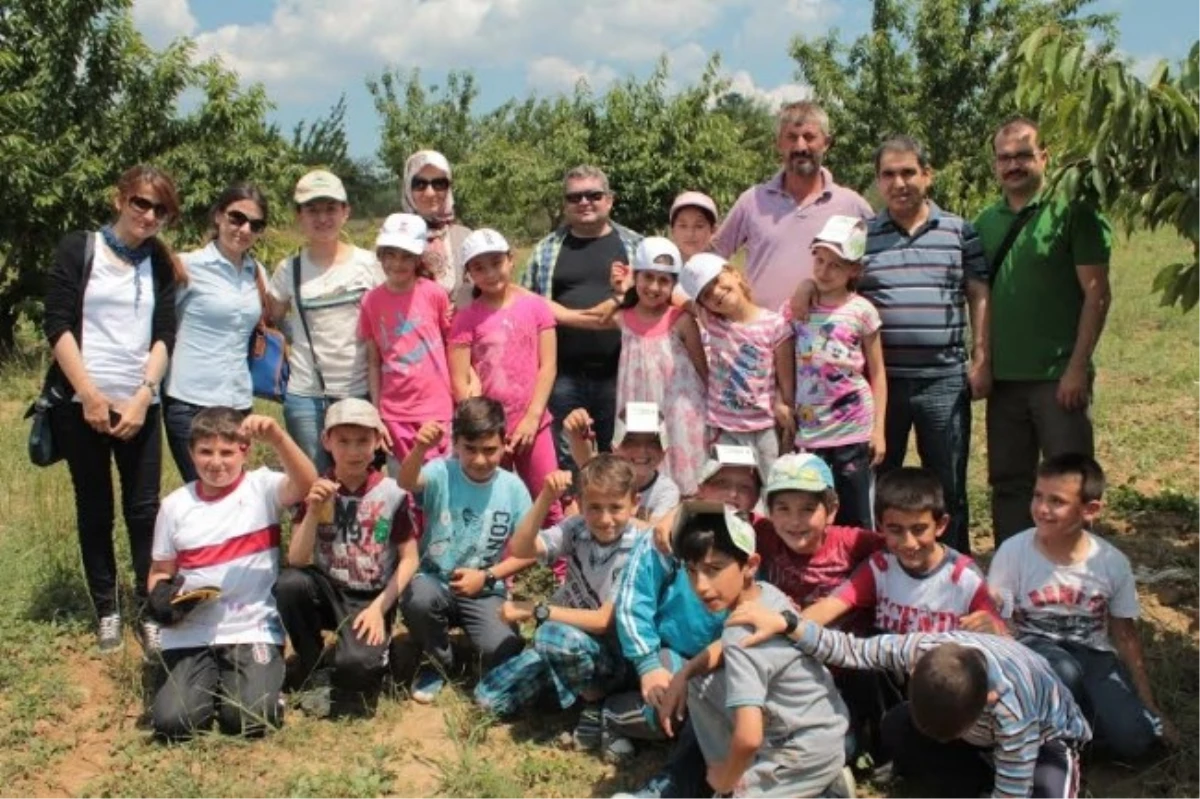 Bilecik\'te "Lider Çocuk Tarım Kampı" Düzenlendi