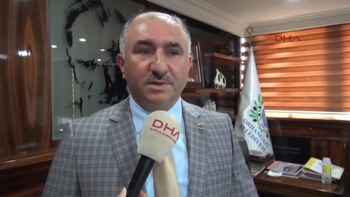 Bursa Zeytinde Yüzde 70 Ürün Kaybızeytinde Yüzde 70 Ürün Kaybı