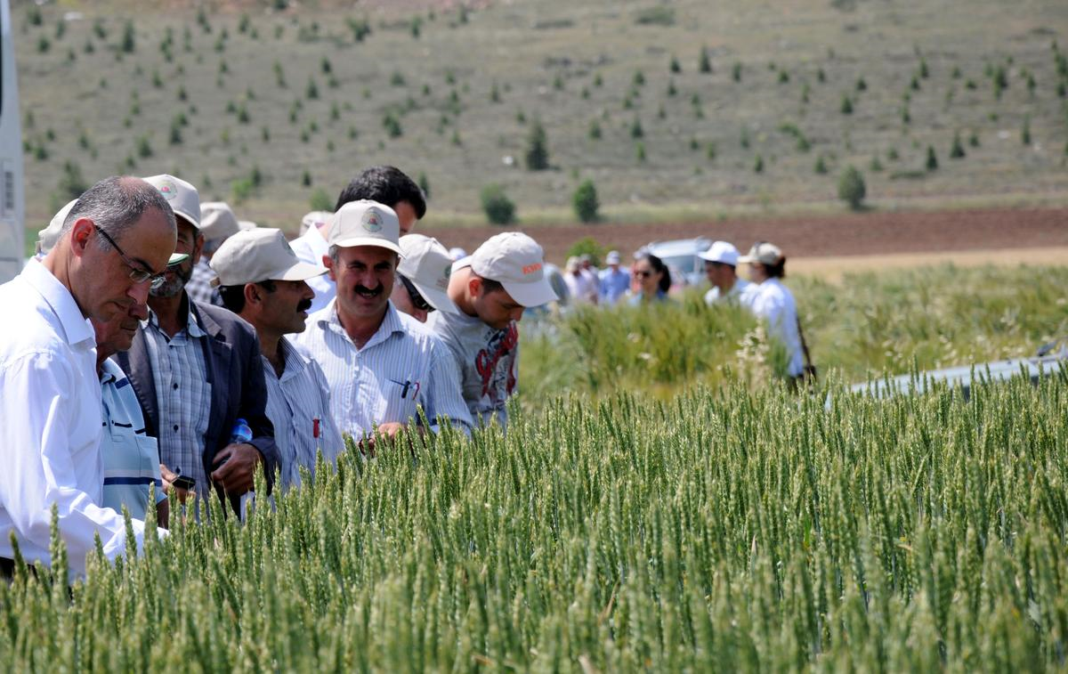 Geliştirilen Yeni Ürünler, Çiftçilere Tanıltıldı