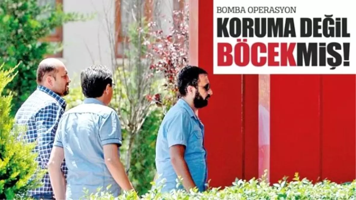 Koruma Değil Böcekmiş!