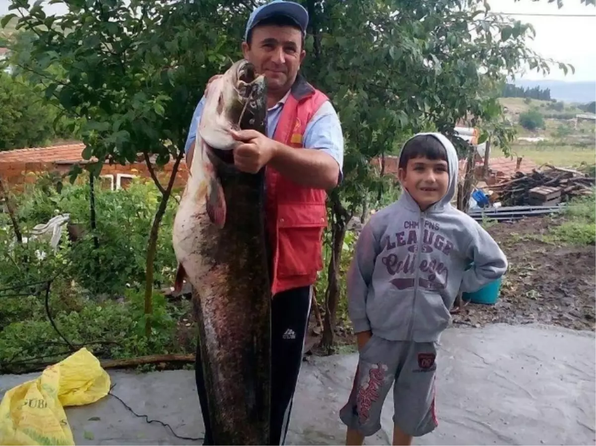 Derede Boyu Kadar Balık Yakaladı