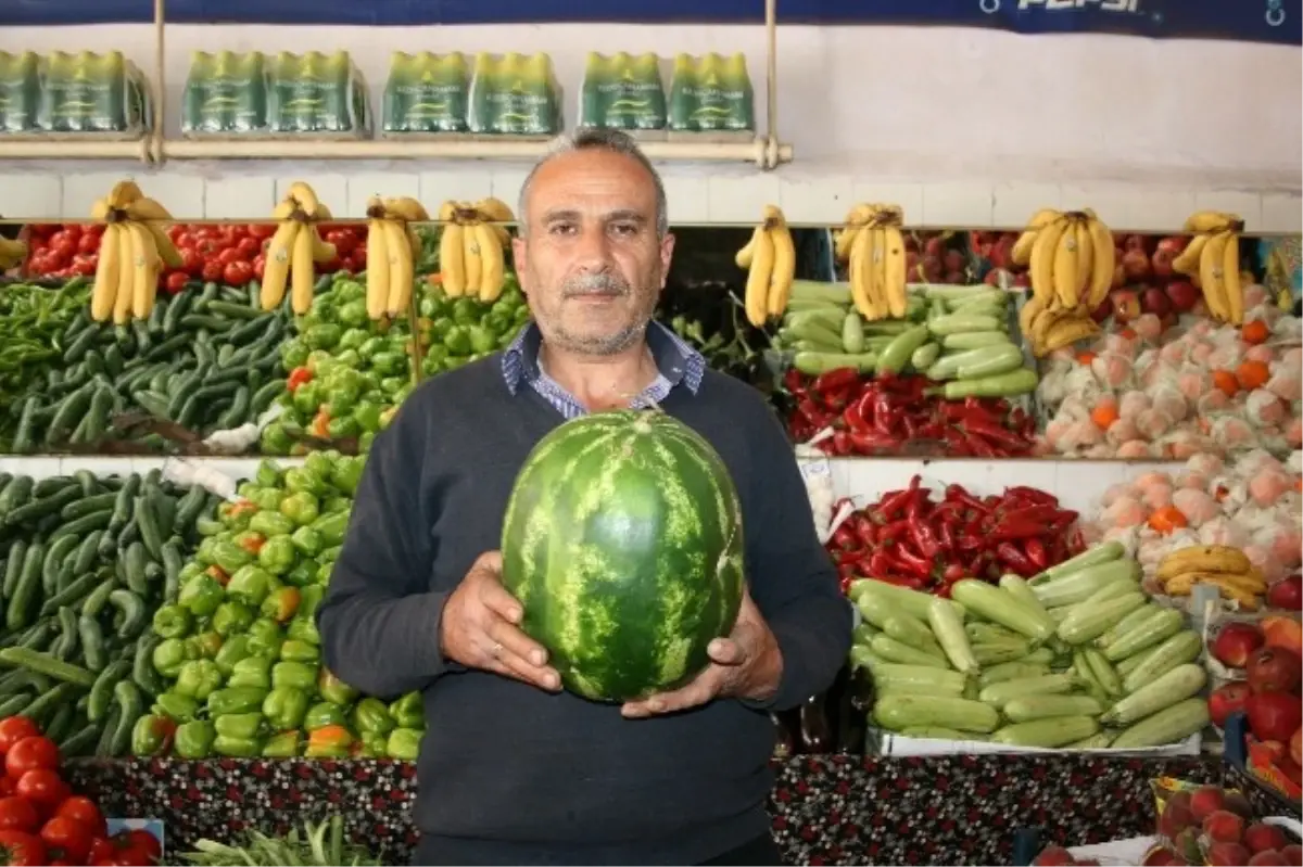 Karpuzlarda Allah Yazısı Görenleri Şaşırttı