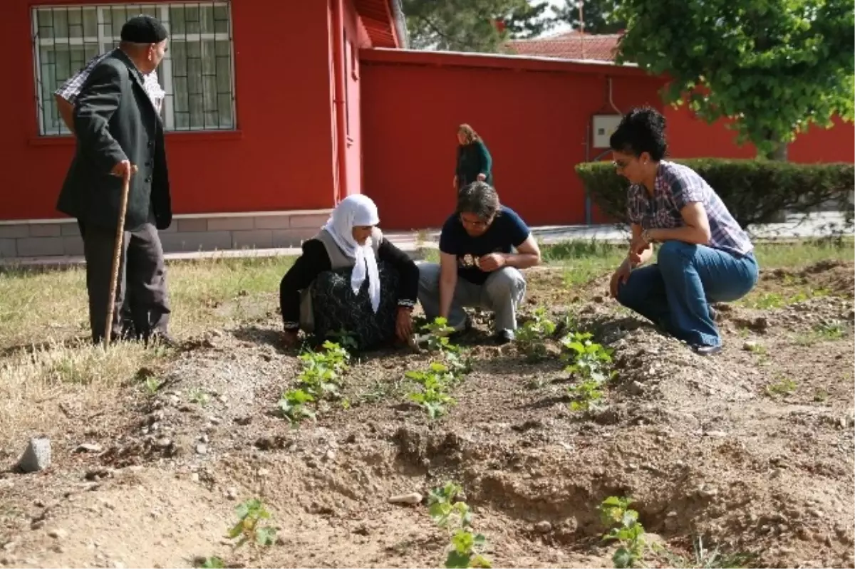 Kulu Belediyesi Yaşam Merkezi\'nde Hobi Bahçeleri