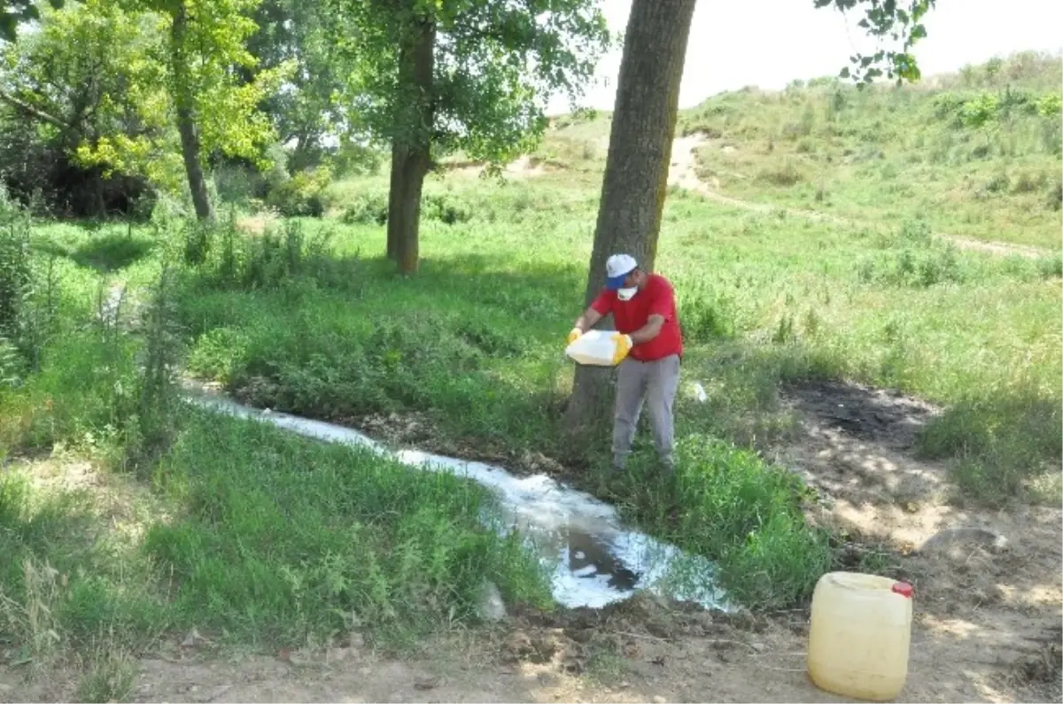 Malkara Belediyesi Tarafından Dere Yataklarına İlaçlama Çalışmaları Devam Ediyor