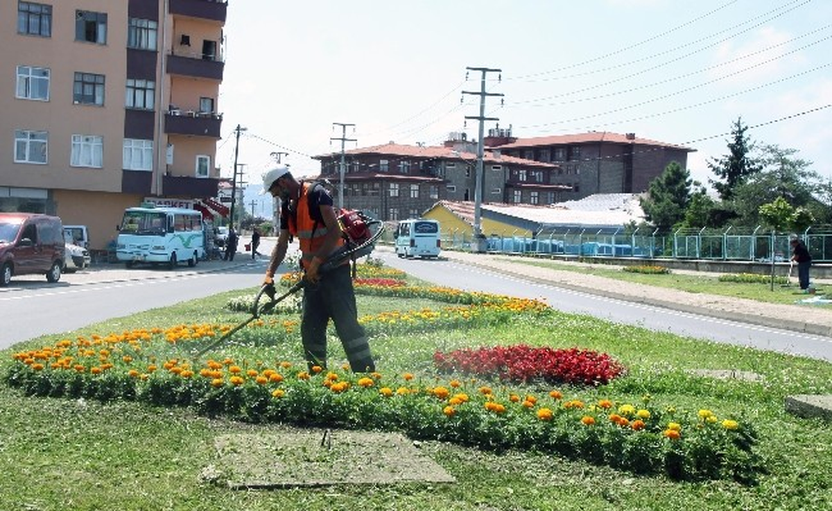 Rize Çiçek Açıyor