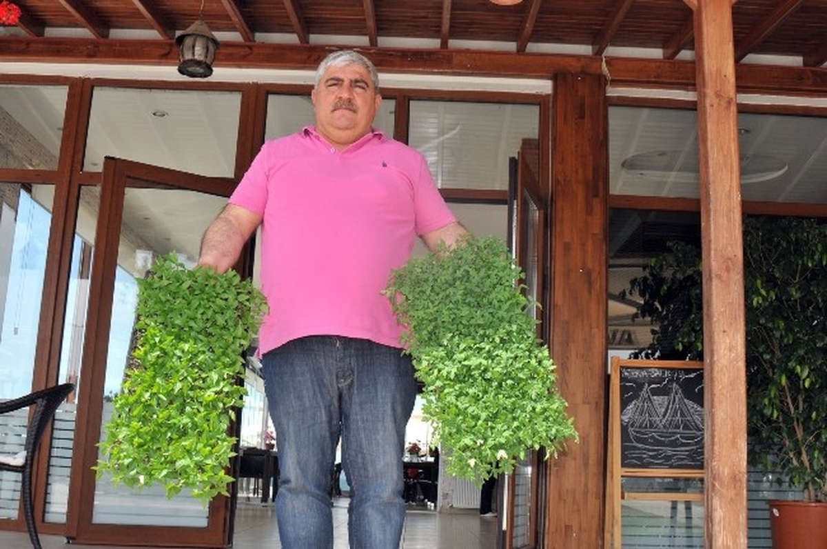Yalovalı Çiftçilere 3 Milyon Fide Dağıtıldı