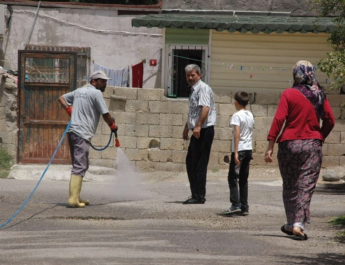 Mahalleyi Pireler Bastı, Vatandaşlar Yara İçinde Kaldı