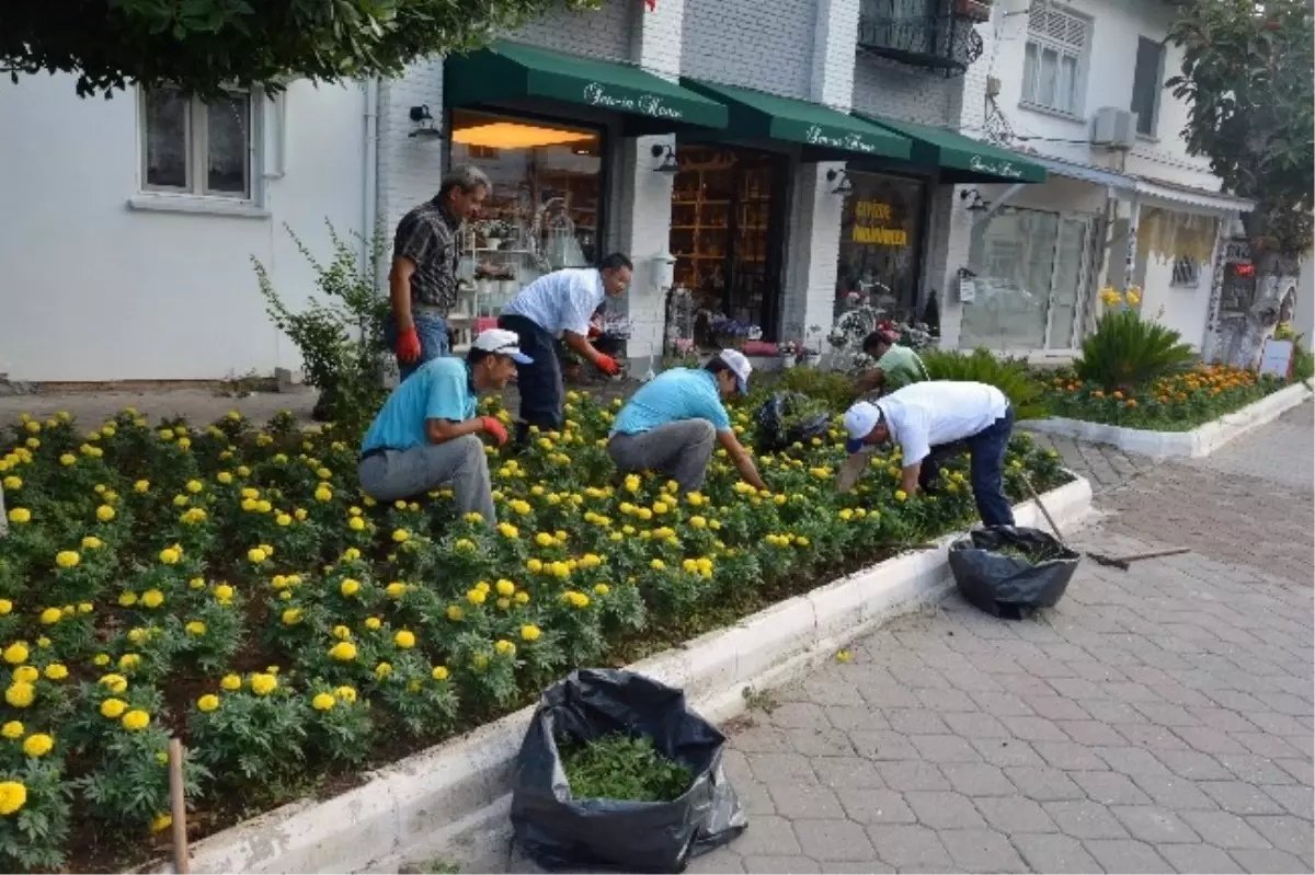 Belediye Başkanı Ot Yoldu