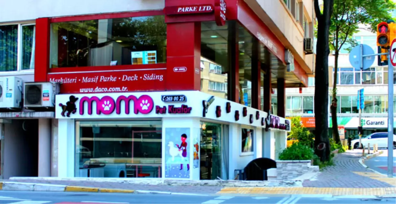 Etilerde Lüks Hayvan Kuaförü Açıldı